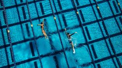 Вид сверху на пловцов в бассейне — стоковое фото