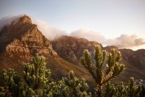 Vista de Lions Head Mountain para Table Mountain — Fotografia de Stock