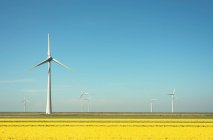Вітрові турбіни в польовому пейзажі — стокове фото