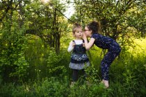 Menina sussurrando para a irmãzinha — Fotografia de Stock