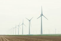 Ряд ветряных турбин в поле — стоковое фото
