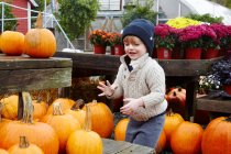 Хлопчик вибирає гарбуз в саду — стокове фото