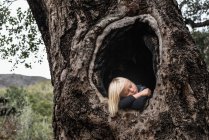 Young boy, in hollow of tree — Stock Photo