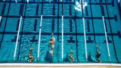 Vista aerea dei nuotatori in piscina — Foto stock