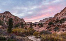 Vista panorámica del Parque Nacional de Zion - foto de stock