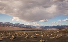 Landscape at Ubehebe Crater — Stock Photo