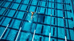 Blick von oben auf Schwimmer im Pool — Stockfoto