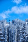 Teleféricos sobre montañas cubiertas de nieve boscosa - foto de stock