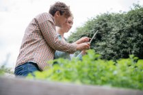 Uomo e donna fotografare le piante — Foto stock