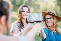 Friends making a toast smiling — Stock Photo