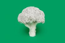 Broccoli painted white — Stock Photo
