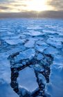 Témpano de hielo en el Océano Austral - foto de stock