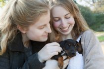 Teenage girls petting puppy — Stock Photo