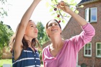 Mother and daughter picking cherries — Stock Photo