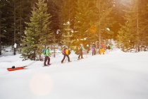 Grupo de personas esquiando en los árboles - foto de stock