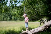 Junge im Kostüm steht auf Baumstamm — Stockfoto