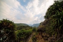 Вид на долину Пололу — стоковое фото