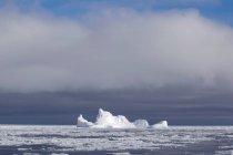 Iceberg and ice floe in the Southern Ocean — Stock Photo