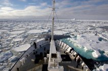 Vista da plataforma de gelo no oceano sul do navio — Fotografia de Stock