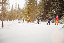 Gruppo di persone che sciano sugli alberi — Foto stock