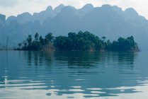 Bauminsel spiegelt sich im stillen See — Stockfoto