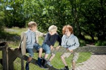 Діти сходження на дерев'яний паркан на відкритому повітрі — стокове фото