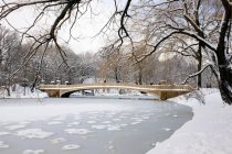 Puente de proa en el lago Central Park - foto de stock