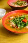 Zuppa di tagliatelle cinese — Foto stock