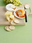 Plate of cheeses and crackers — Stock Photo