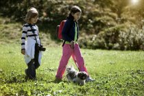 Bambini che camminano cane in campo — Foto stock