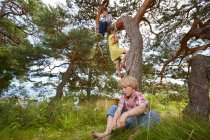 Menino sentado na árvore, menina escalando escada corda na árvore e menino sentado na grama — Fotografia de Stock