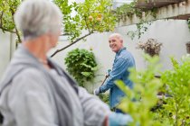 Casal mais velho jardinagem no quintal — Fotografia de Stock