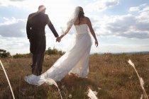 Coppia di sposi che si tiene per mano in erba — Foto stock