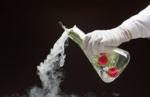 Científico experimentando con frutas en vaso de precipitados - foto de stock