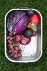 Frutas y hortalizas frescas recogidas - foto de stock