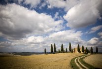 Campo y nubes en Siena - foto de stock