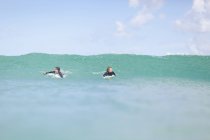 Les garçons adolescents pagayant avec planche de surf — Photo de stock