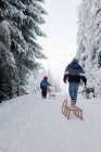 Escursione in slittino invernale nella foresta invernale — Foto stock