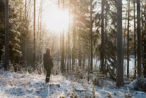 Uomo maturo in piedi nella foresta innevata — Foto stock