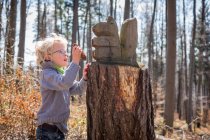Хлопчик вивчає сосновий конус у лісі — стокове фото