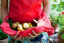 Woman carrying fruit in apron — Stock Photo