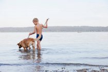 Niño vadeando con perro en la playa - foto de stock