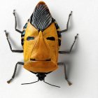 Cara escarabajo en blanco - foto de stock