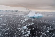 Vista de Icebergs en el canal Lemaire, Antártida - foto de stock