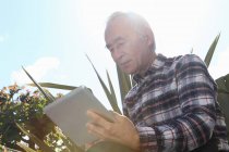 Older man using tablet computer outdoors — Stock Photo