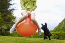 Abgeschnittenes Bild einer Frau auf Hüpfball, die mit Hund spielt — Stockfoto