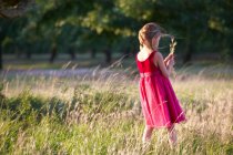 Mädchen sammelt Weizenhalme auf Feld — Stockfoto