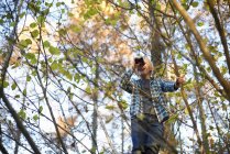 Boy on tree looking through binoculars in woods in autumn — Stock Photo