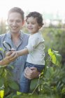 Mid adult man and son looking at plants on allotment — Stock Photo