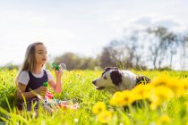 Girl blowing bubbles with dog in field — Stock Photo